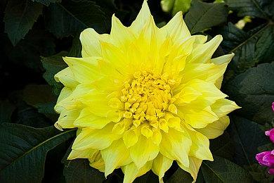 《全境封锁2：幸存者》公布 全新生存撤离体验、2026年上线